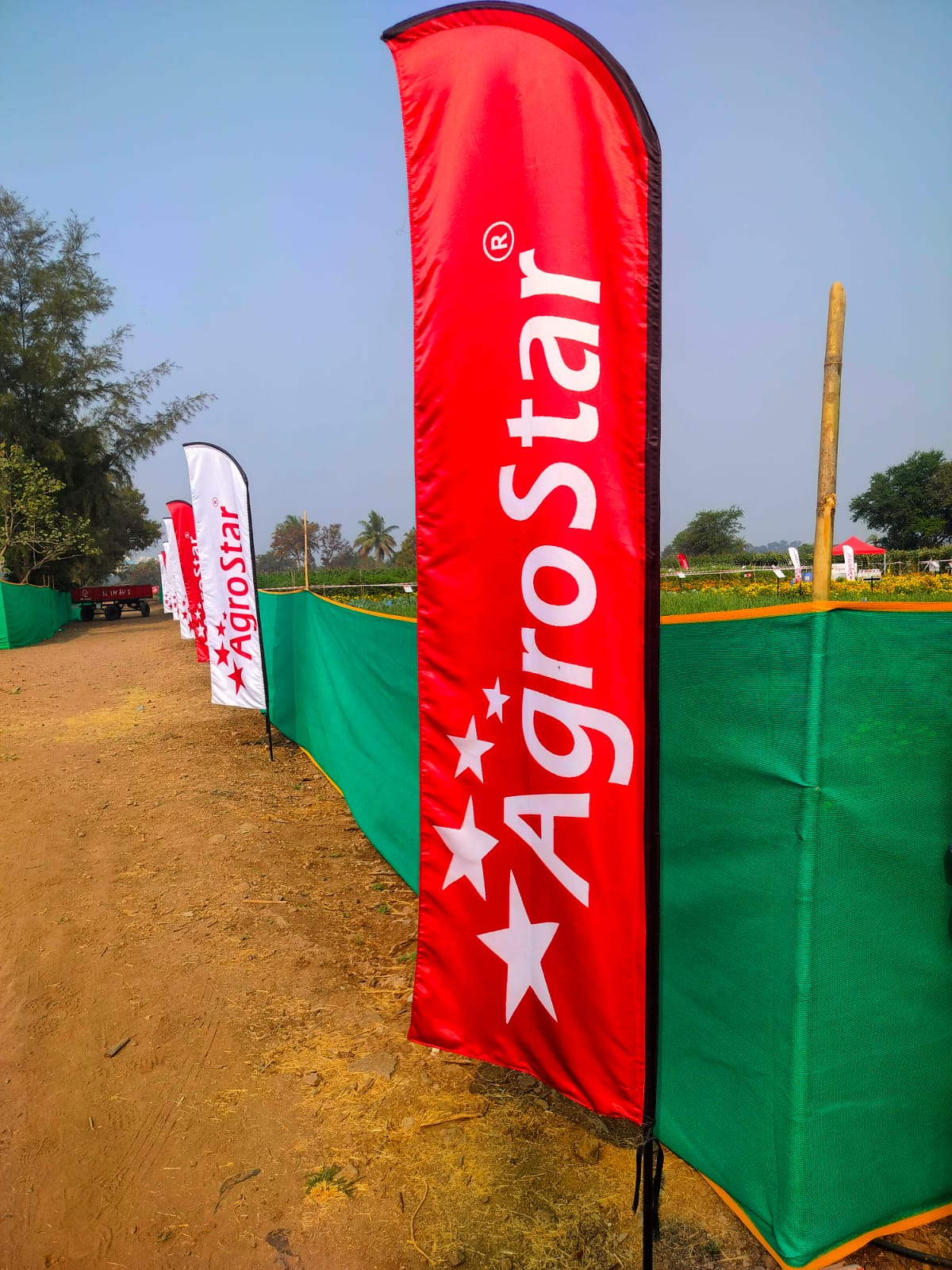 Custom Feather Flags | Advertising Flags | Beach Flags | Personalized Flags for Business